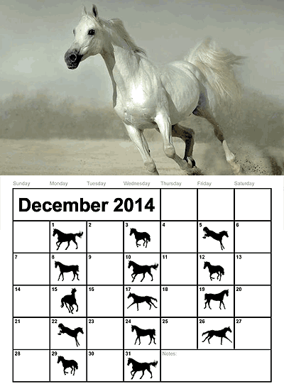Schedule for December