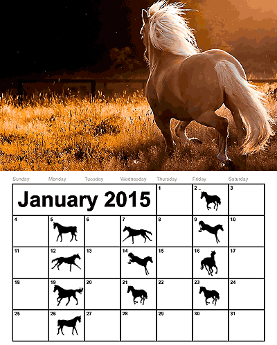 Schedule for January