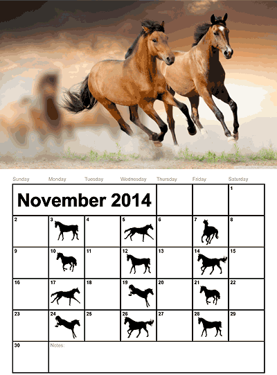 Schedule for November
